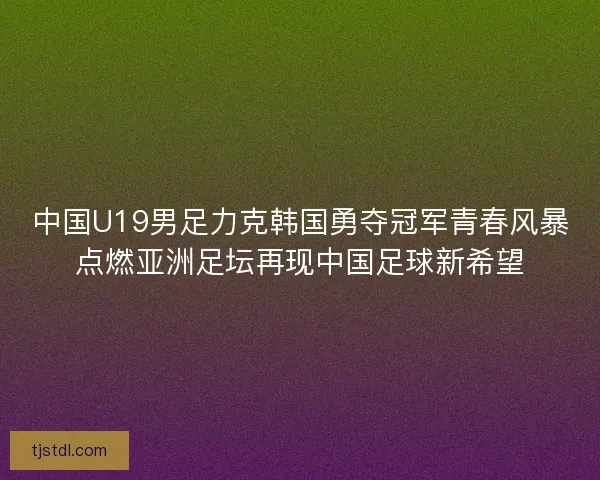 中国U19男足力克韩国勇夺冠军青春风暴点燃亚洲足坛再现中国足球新希望