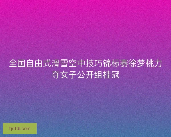 全国自由式滑雪空中技巧锦标赛徐梦桃力夺女子公开组桂冠